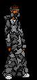 DyFoN